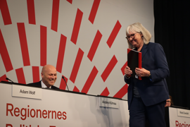 Regionsrådsmedlem i Region Syddanmark, Anette Blynel (F)