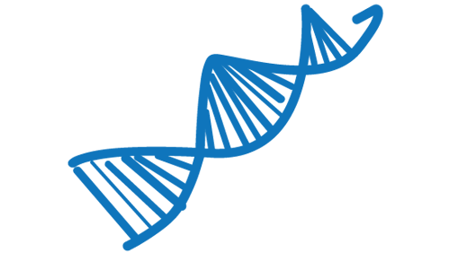Illustration der viser DNA håndtegnet