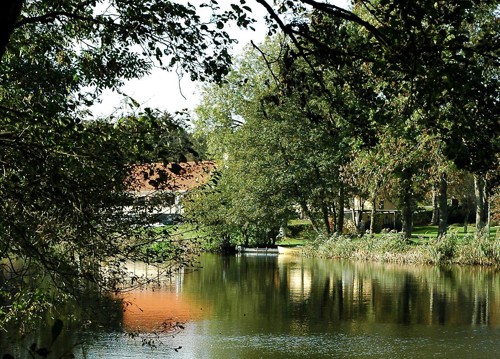 Gudenåen og den omkringliggende grønne natur på en solskinsdag