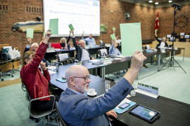 Afstemning i Region Syddanmark